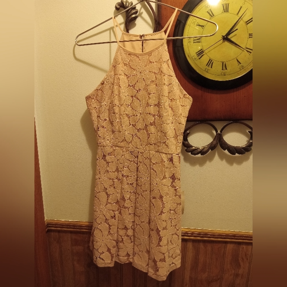 BCB Generation Womans Floral Lace Dress Sz 2 (NWT)